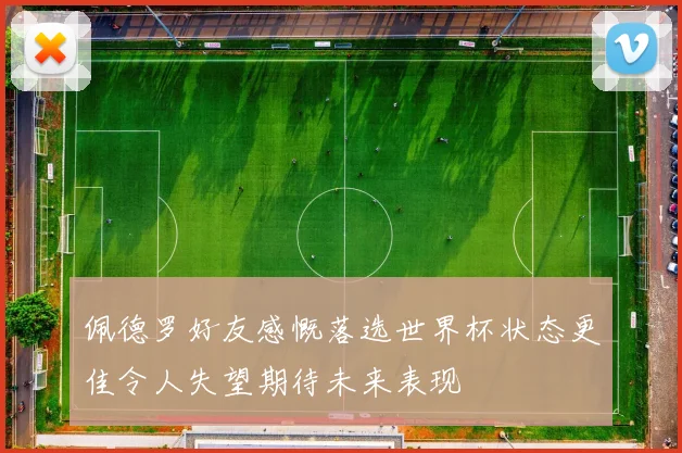 佩德罗好友感慨落选世界杯状态更佳令人失望期待未来表现