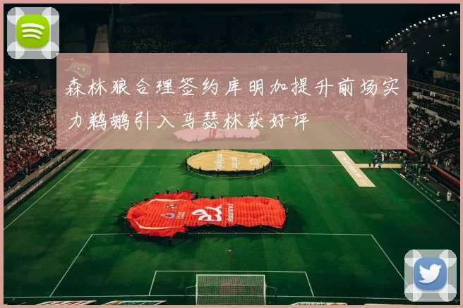 森林狼合理签约库明加提升前场实力鹈鹕引入马瑟林获好评